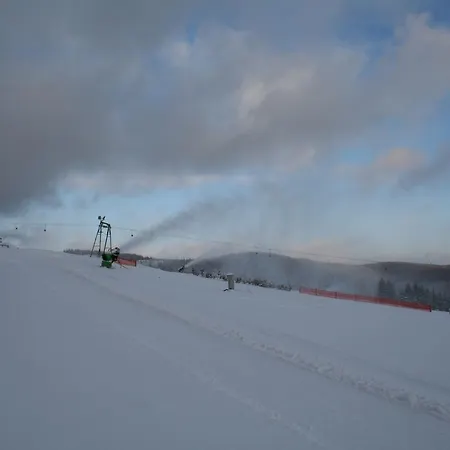 Daire Neuastenberg 4 Winterberg